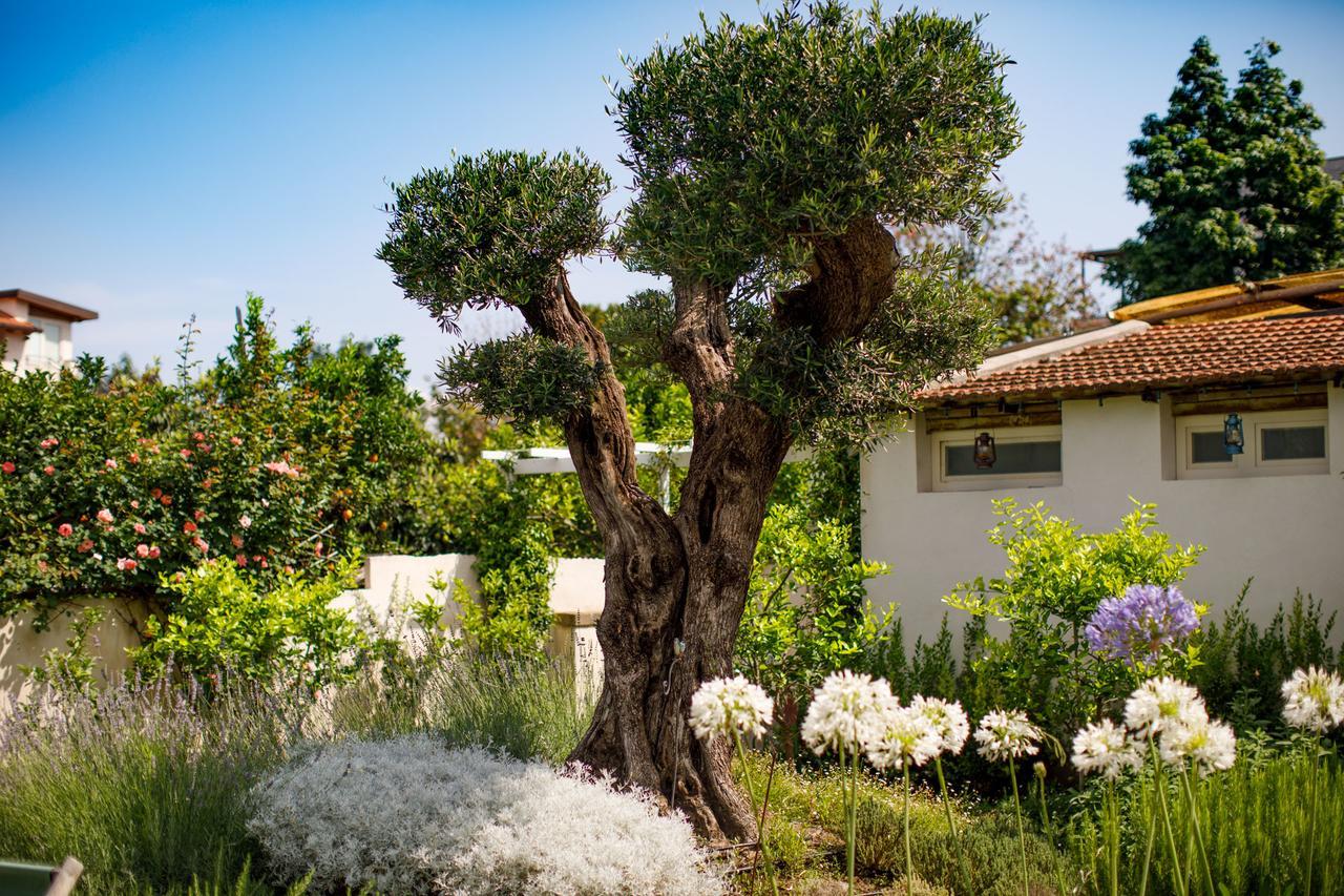 סן אנג'לו Reggine Holiday Apartments מראה חיצוני תמונה